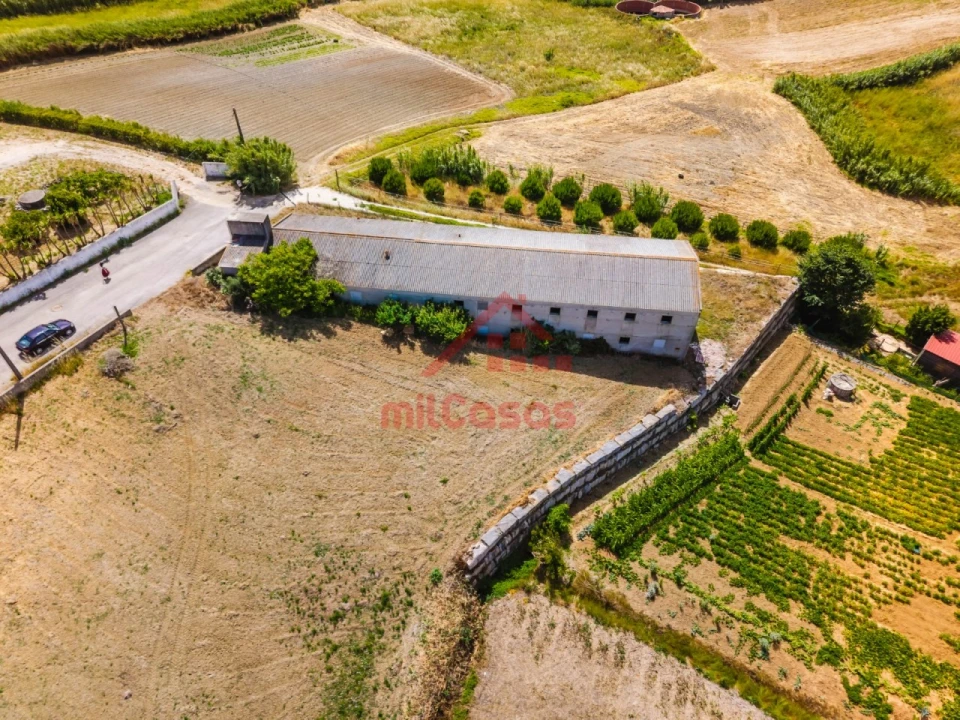 Armazém para Venda em Ribamar Foto 35