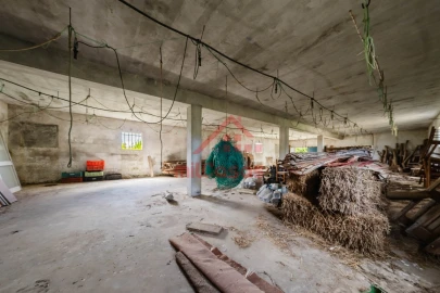 Armazém para Venda em Ribamar