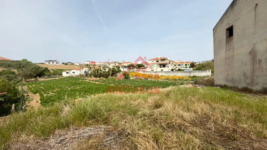 Armazém para Venda em Ribamar Foto 10