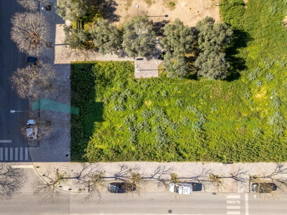 Terreno para Venda em Loule (São Clemente) Foto 4