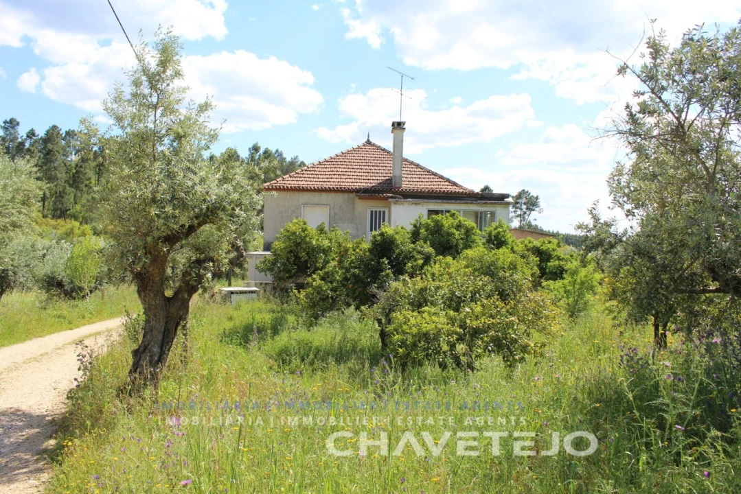 Moradia T7 para Venda em Serra e Junceira Foto 26
