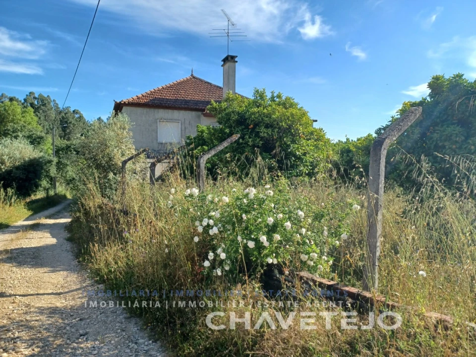 Moradia T7 para Venda em Serra e Junceira Foto 45