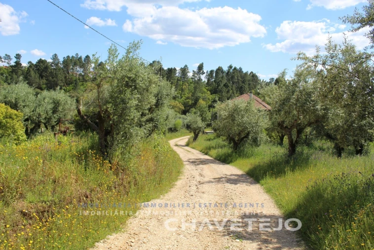 Moradia T7 para Venda em Serra e Junceira Foto 39