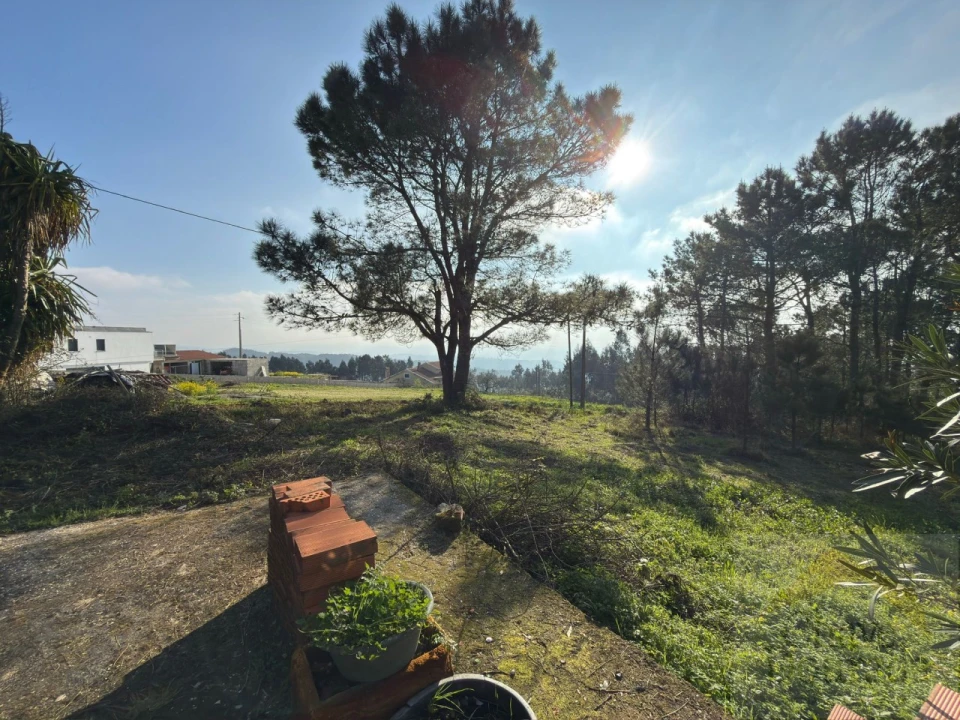 Moradia T3 para Venda em Lorvão Foto 18