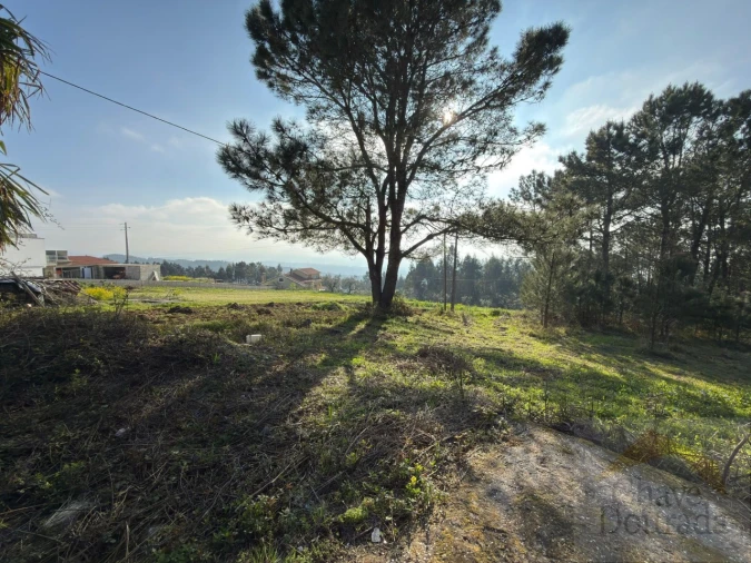 Moradia T3 para Venda em Lorvão Foto 19