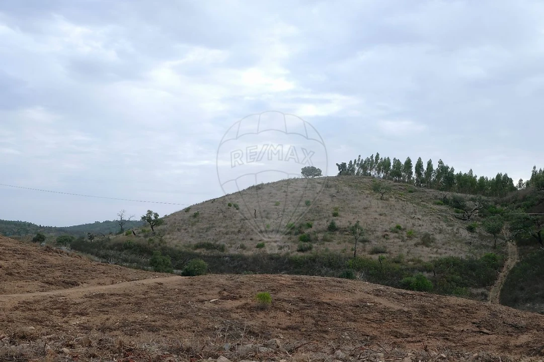 Terreno para Venda em São Martinho das Amoreiras Foto 6