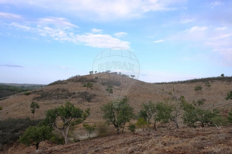 Terreno para Venda em São Martinho das Amoreiras Foto 2