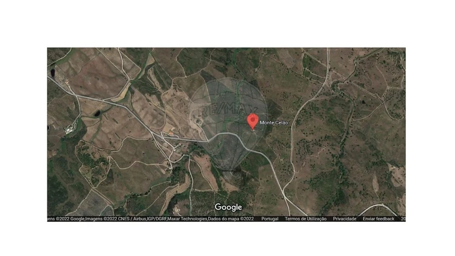 Terreno para Venda em São Martinho das Amoreiras