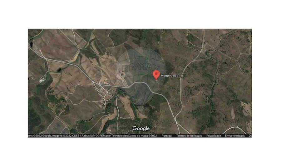 Terreno para Venda em São Martinho das Amoreiras