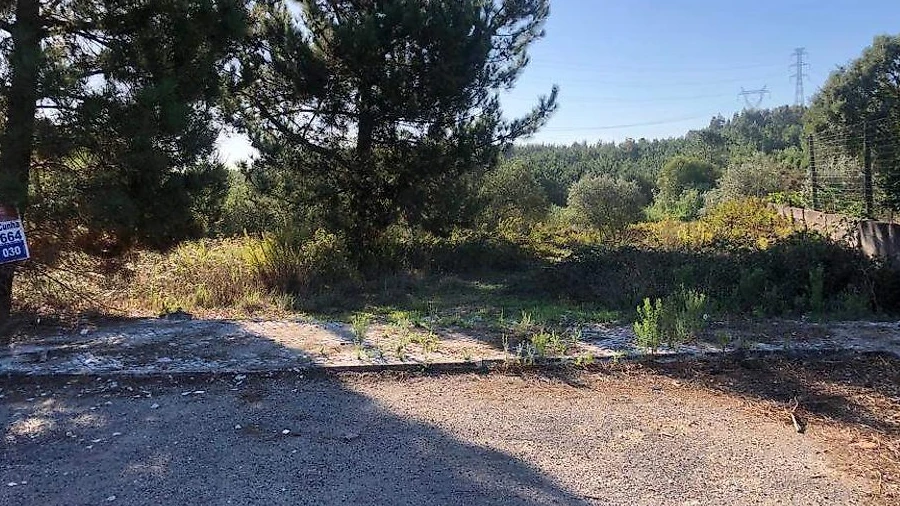 Terreno para Venda em Alcoentre
