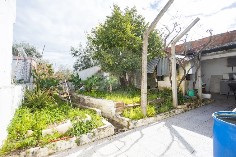 Moradia T3 para Venda em Pego Foto 30