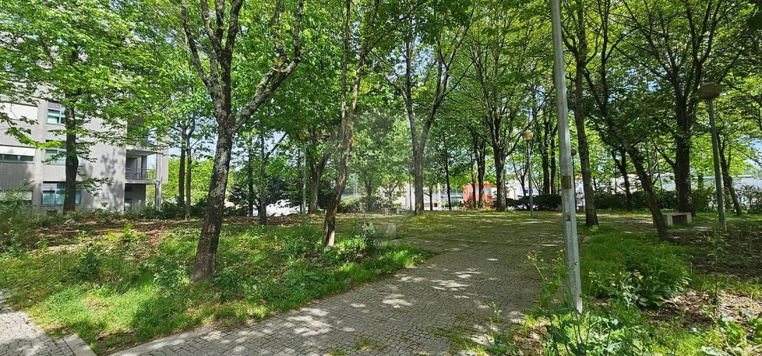 Apartamento T2 para Venda em Aguas Santas Foto 7