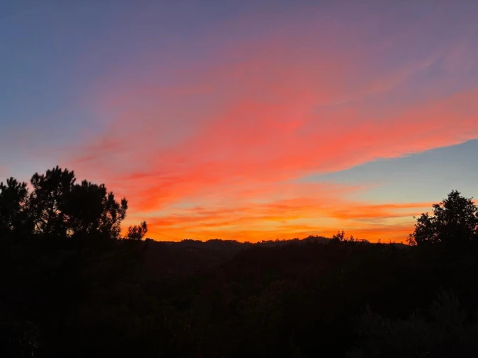 Moradia T7 para Venda em Amarante (São Gonçalo), Madalena, Cepelos e Gatão Foto 39