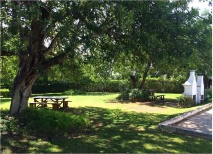 Apartamento T1 para Venda em Tavira (Santa Maria e Santiago) Foto 19