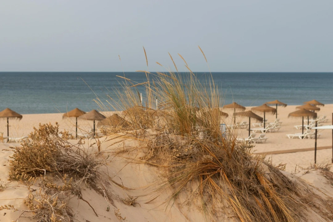 Apartamento T2 para Venda em Monte Gordo Foto 27
