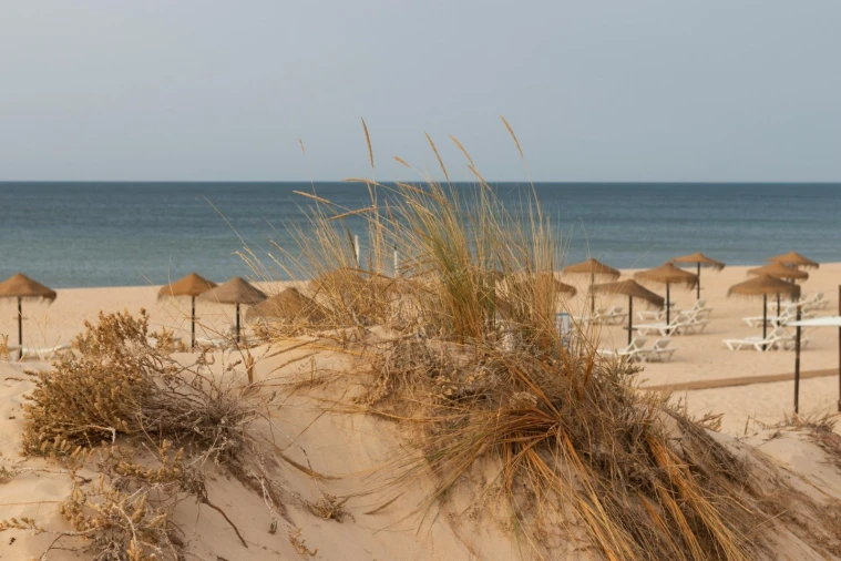 Apartamento T2 para Venda em Monte Gordo Foto 27