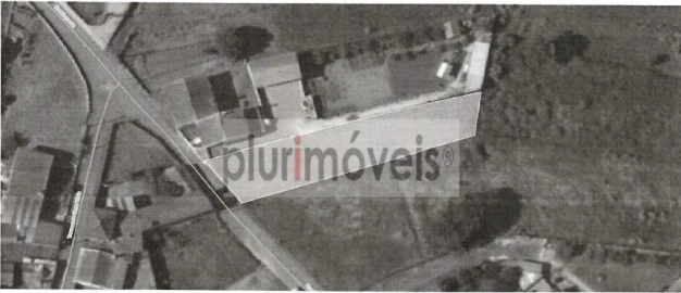 Terreno para Venda em Oliveira do Bairro