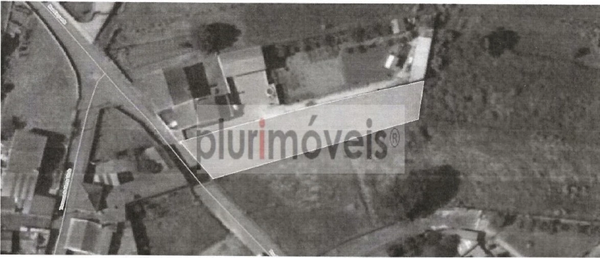 Terreno para Venda em Oliveira do Bairro Foto 1