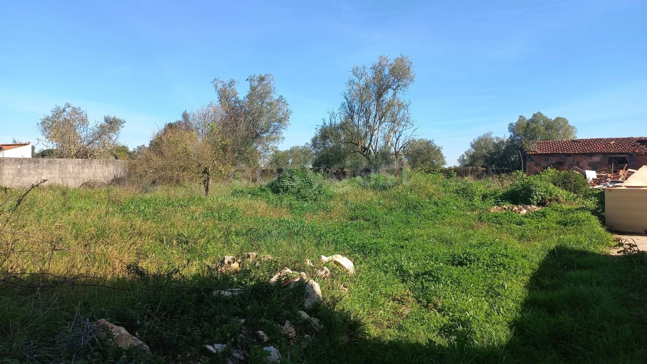 Moradia T3 para Venda em Almoster Foto 7