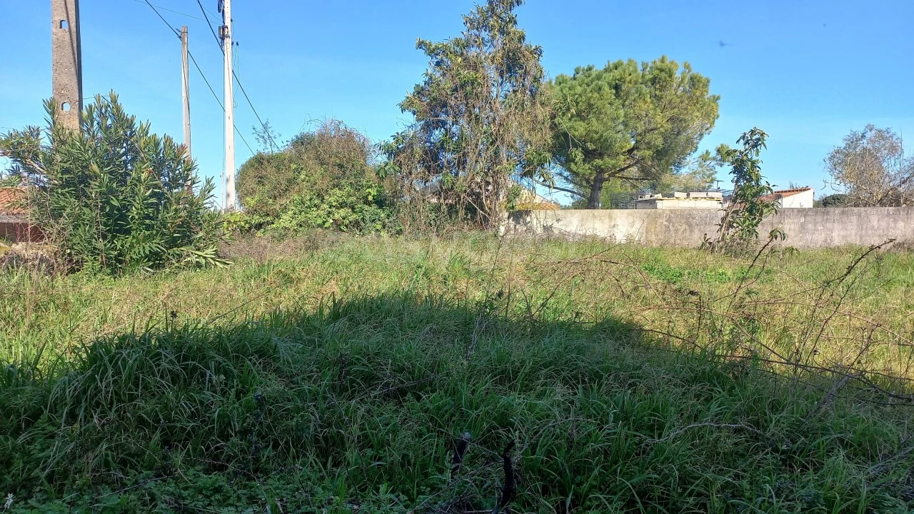 Moradia T3 para Venda em Almoster Foto 8