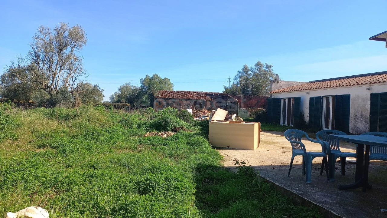 Moradia T3 para Venda em Almoster Foto 9