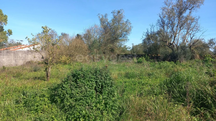 Moradia T3 para Venda em Almoster Foto 6