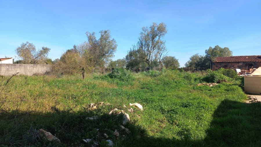 Moradia T3 para Venda em Almoster Foto 7