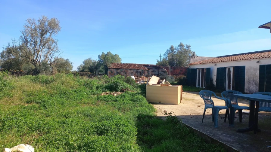 Moradia T3 para Venda em Almoster Foto 9