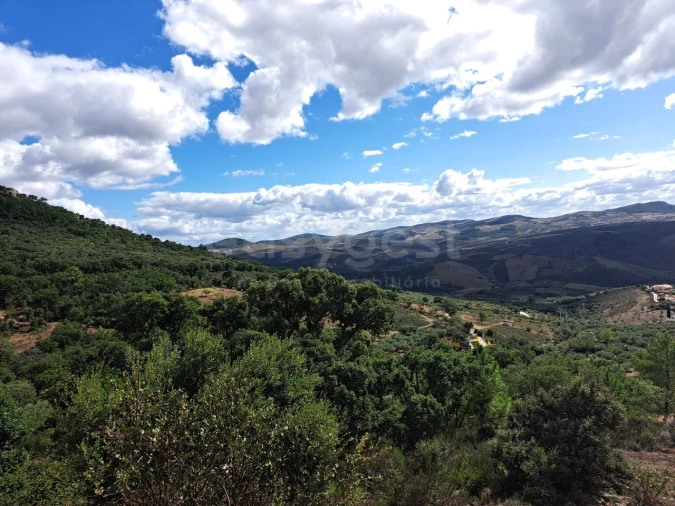 Moradia T2 para Venda em Açoreira Foto 11