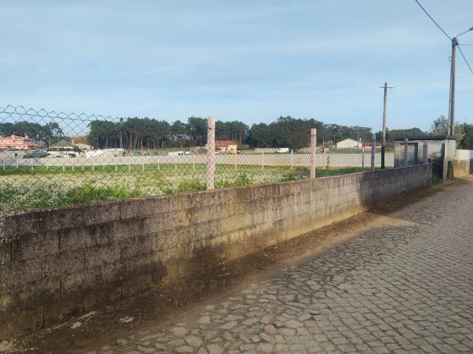 Terreno Agricola ou Rústico para Venda em Barqueiros Foto 4