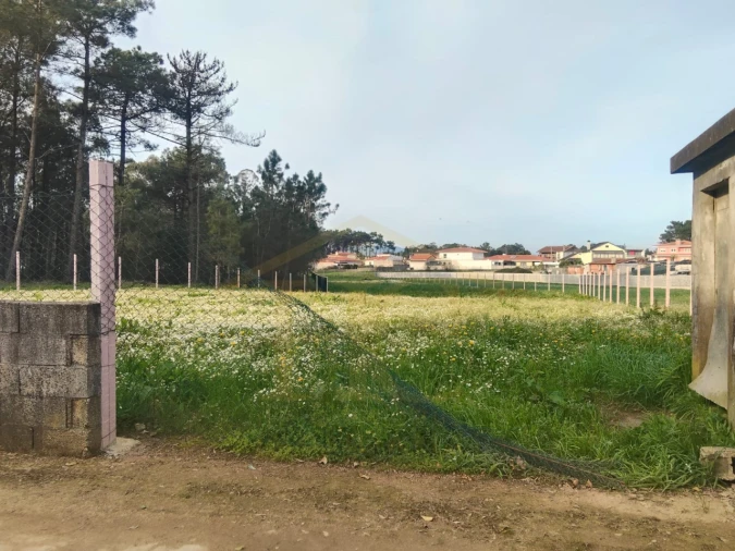 Terreno Agricola ou Rústico para Venda em Barqueiros Foto 2