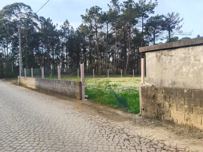 Terreno Agricola ou Rústico para Venda em Barqueiros Foto 5