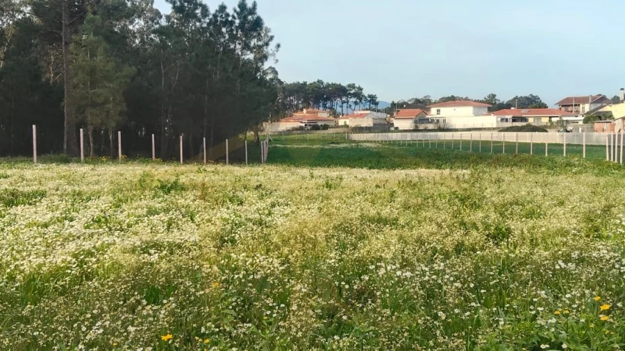 Terreno Agricola ou Rústico para Venda em Barqueiros