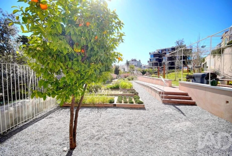 Apartamento T2 para Venda em São Vicente Foto 19