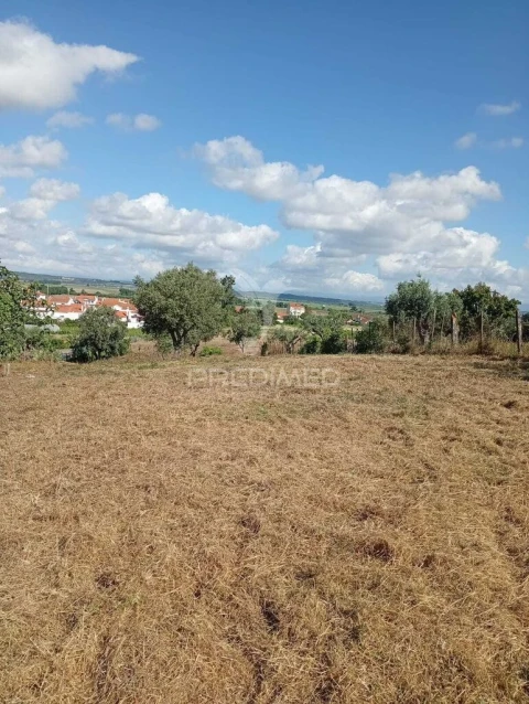 Terreno para Venda em Alpiarça
