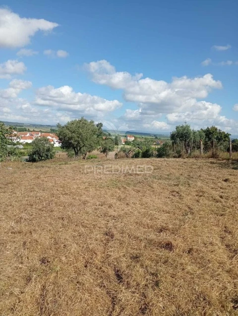 Terreno para Venda em Alpiarça