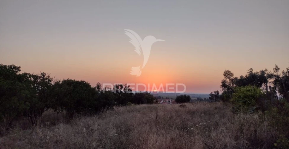 Terreno para Venda em Alpiarça Foto 3