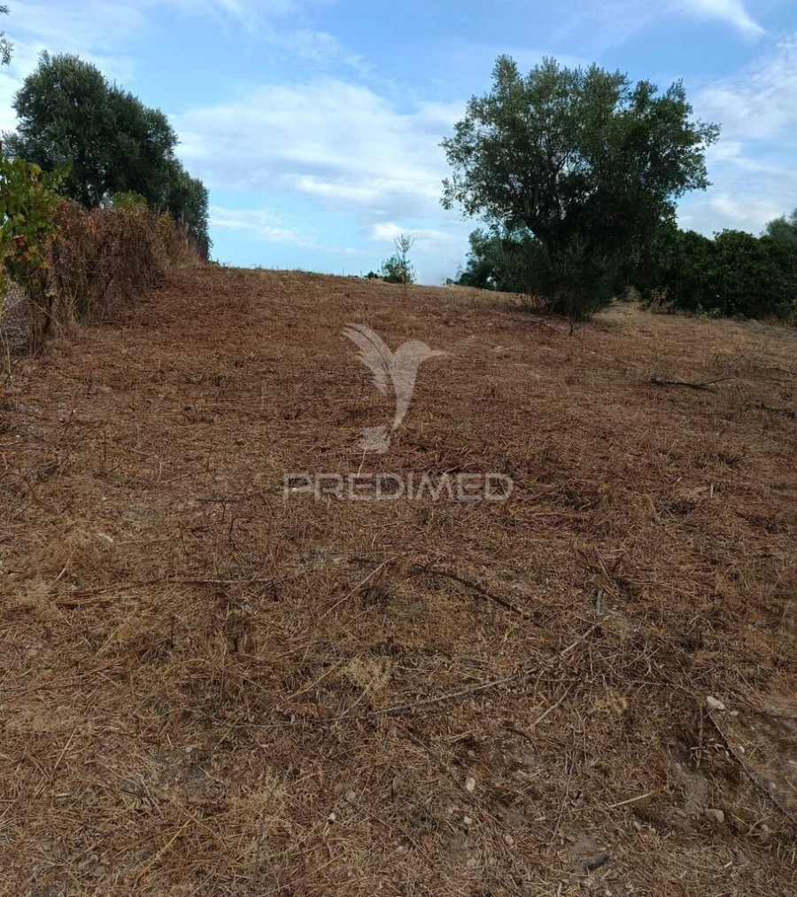 Terreno para Venda em Alpiarça Foto 8
