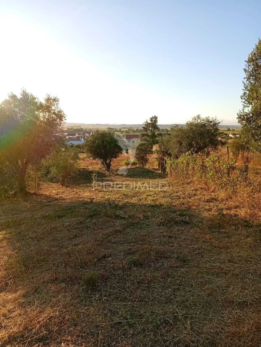 Terreno para Venda em Alpiarça Foto 2