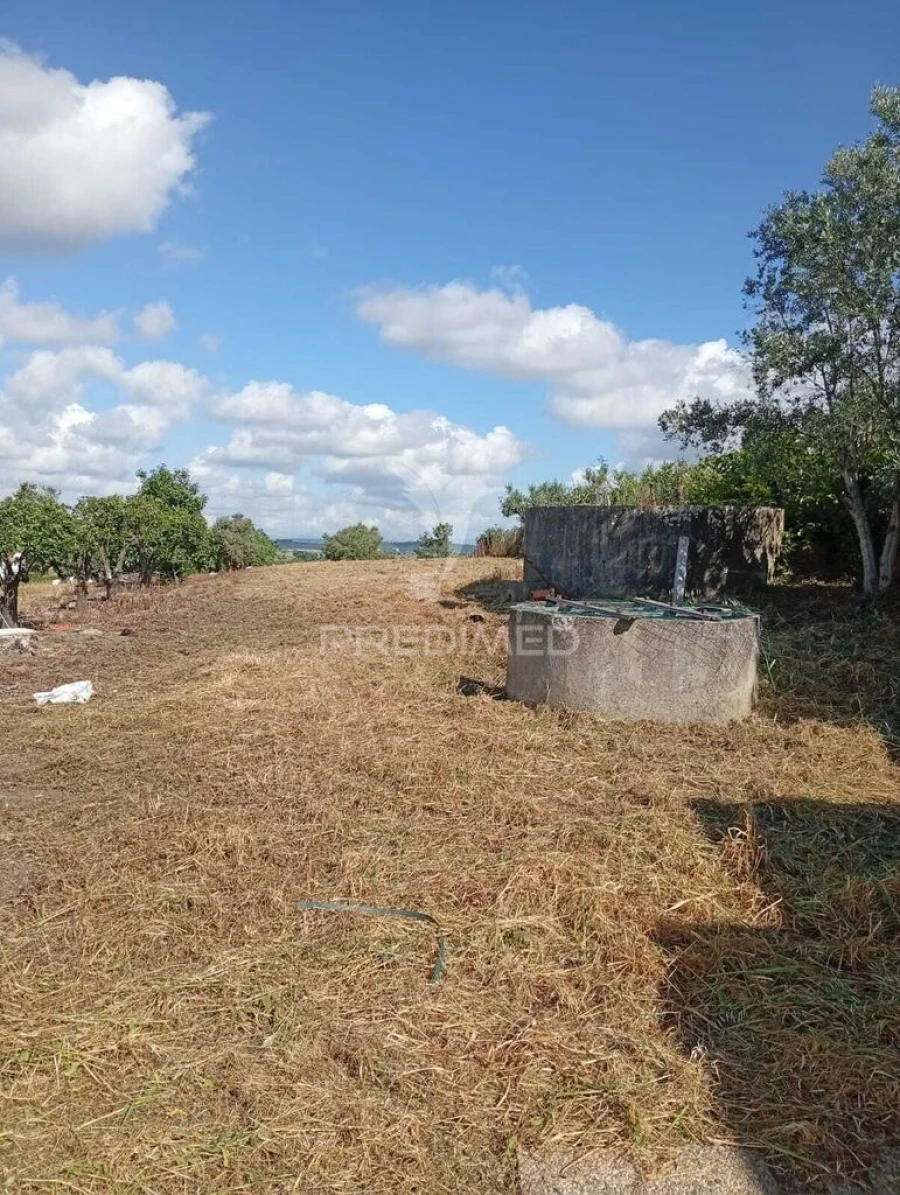 Terreno para Venda em Alpiarça Foto 14