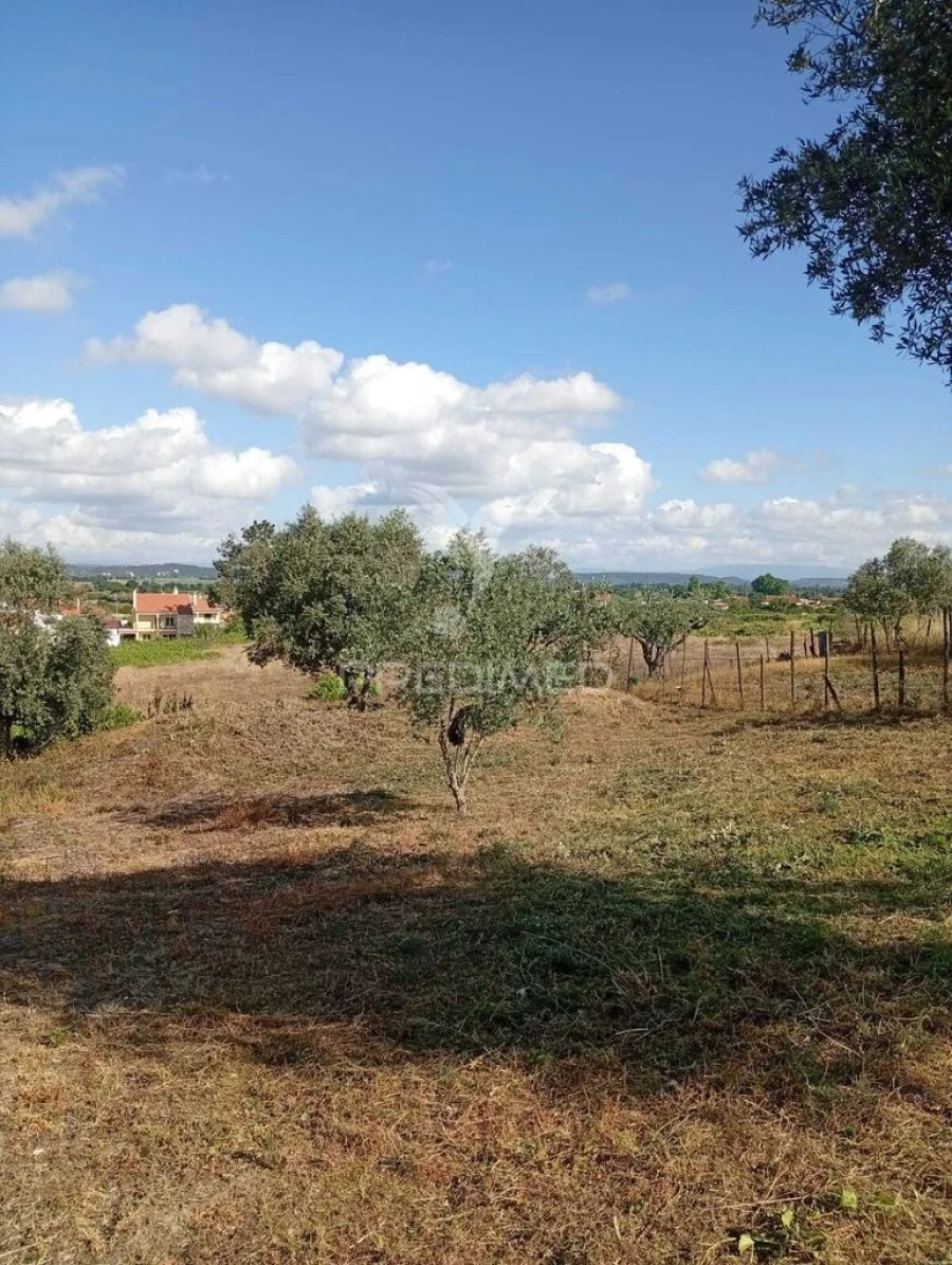 Terreno para Venda em Alpiarça Foto 8