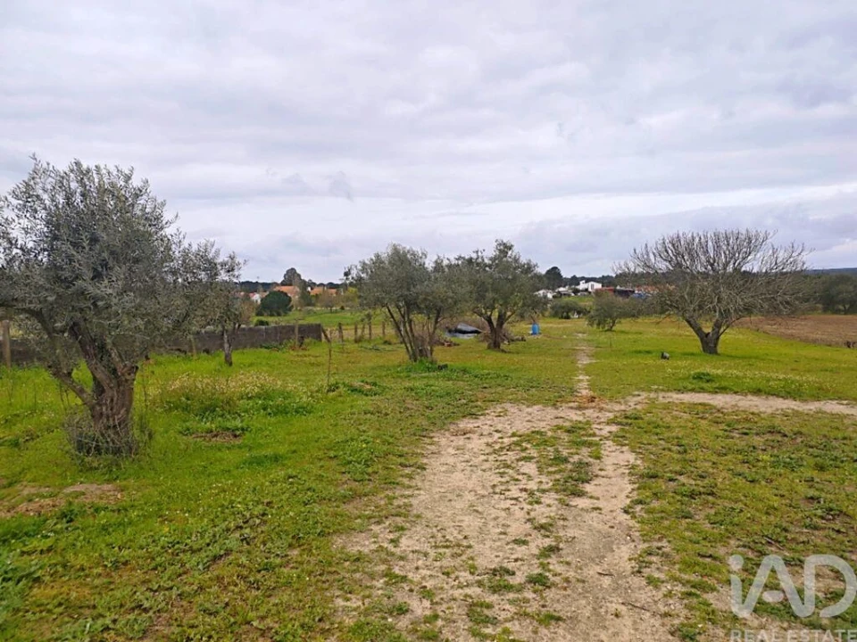 Moradia T3 para Venda em Coruche, Fajarda e Erra Foto 26