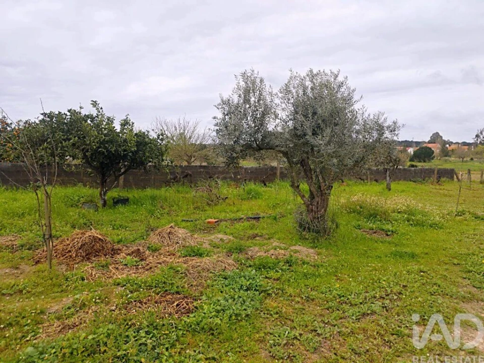 Moradia T3 para Venda em Coruche, Fajarda e Erra Foto 25