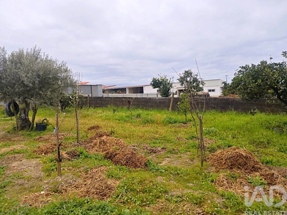 Moradia T3 para Venda em Coruche, Fajarda e Erra Foto 24