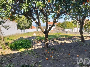 Moradia T3 para Venda em Vale de Cavalos