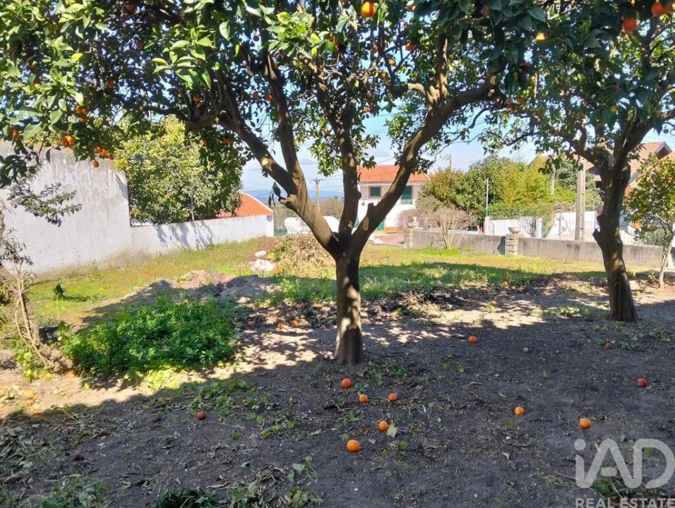 Moradia T3 para Venda em Vale de Cavalos Foto 9