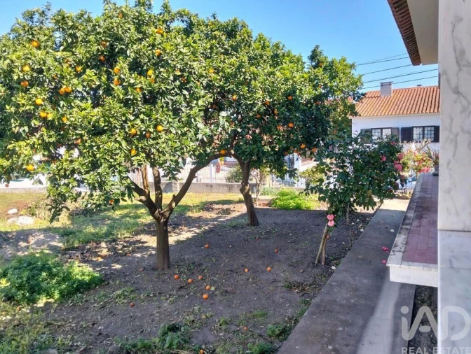 Moradia T3 para Venda em Vale de Cavalos Foto 40