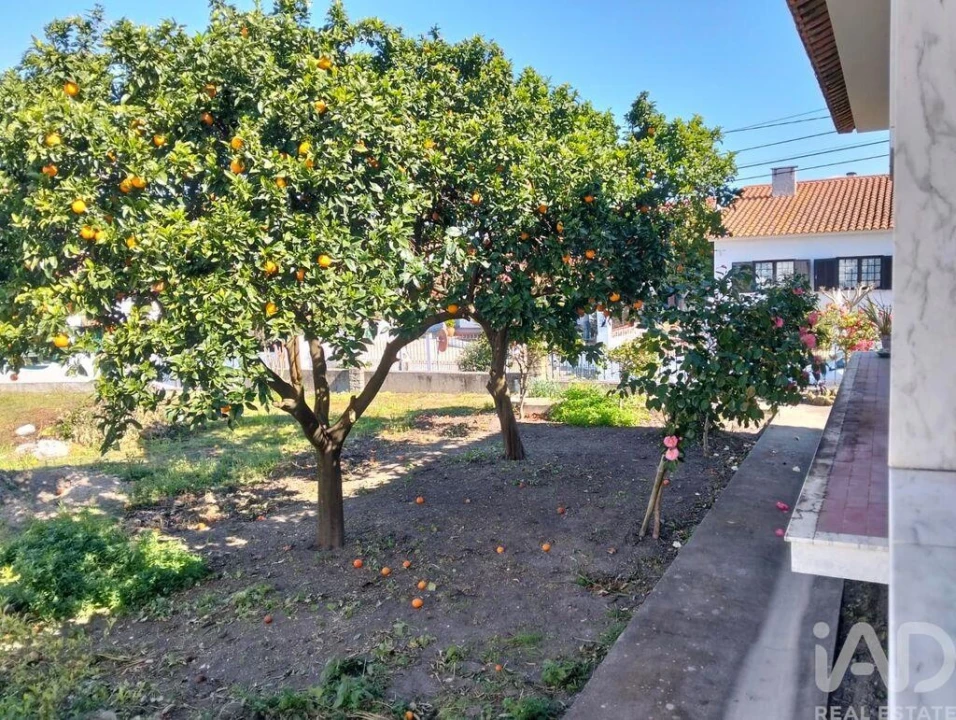 Moradia T3 para Venda em Vale de Cavalos Foto 40