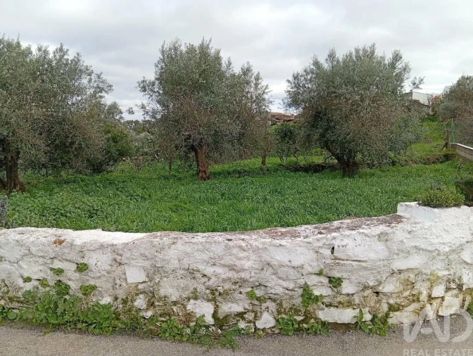 Terreno para Venda em Ameixial Foto 3