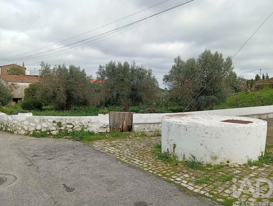 Terreno para Venda em Ameixial Foto 4